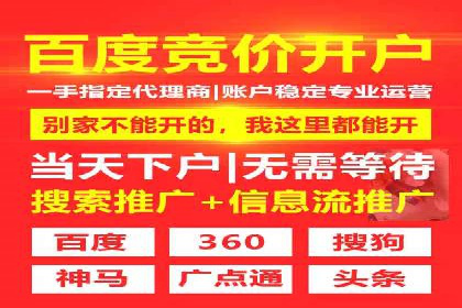 电子商务平台SEM托管的优化技巧