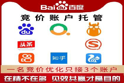 解析SEM竞价代运营的成功要素及案例