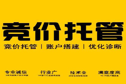 案例剖析：SEO与SEM优化助力企业转型